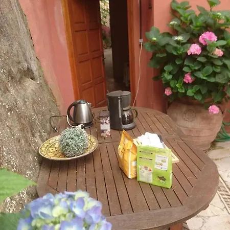 Villa-gaby Entiere Et Piscine * Menton